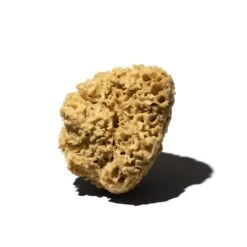 Éponge Marine -Produits D'entretien 10388 eponge naturelle grand modele 001